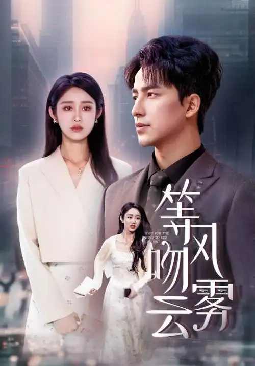 南来北往 海报